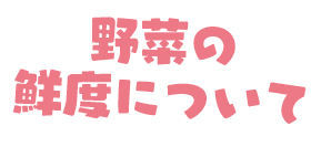 野菜の鮮度について